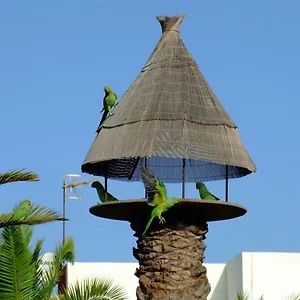 La Kasita In Primavera , Costa Del Silencio Spain